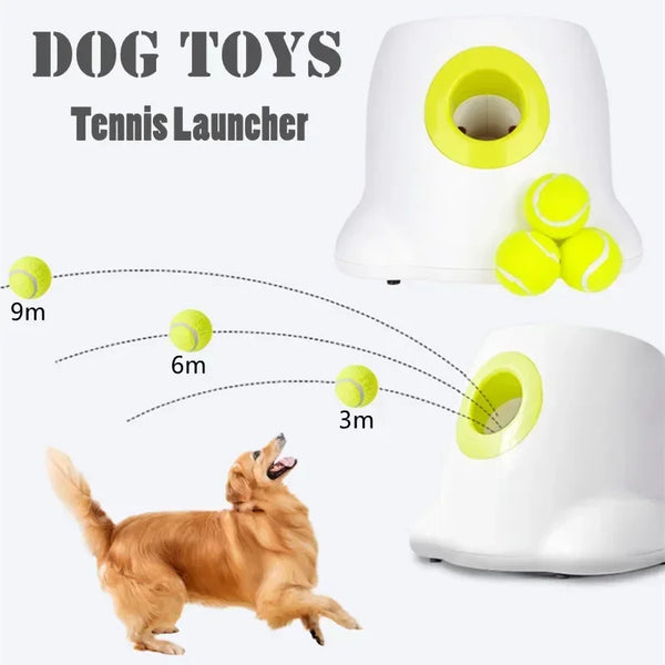 Pet Automatic Tennis Launcher