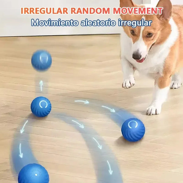 1/2Pcs Smart Dog Toy Ball